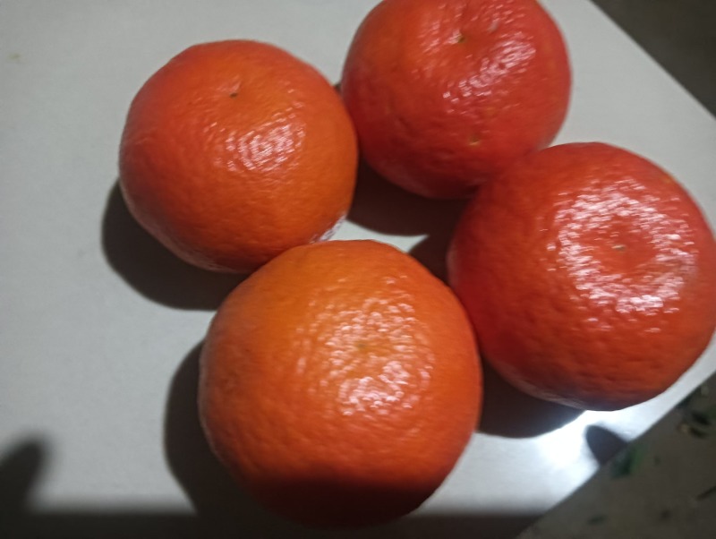 精品东方红蜜橘皮薄多汁质量保证量大从优诚信经营欢迎咨
