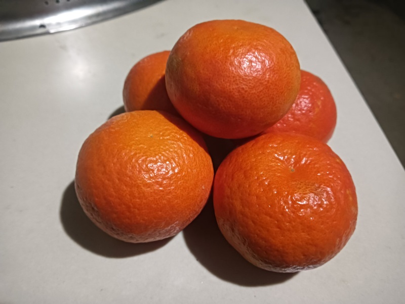 精品东方红蜜橘皮薄多汁质量保证量大从优诚信经营欢迎咨