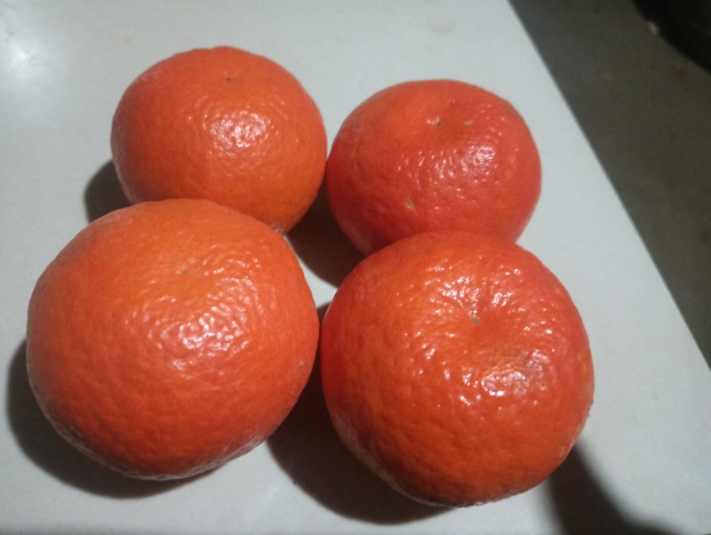 精品东方红蜜橘皮薄多汁质量保证量大从优诚信经营欢迎咨