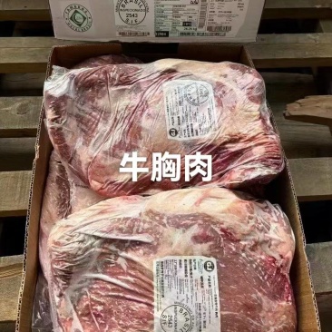 牛胸肉牛肉2015牛胸肉巴西牛胸肉
