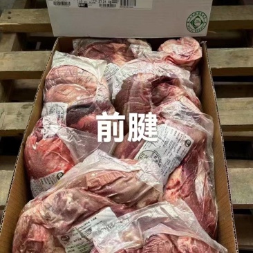 牛腱牛前腱791牛前腱牛肉4413牛前腱