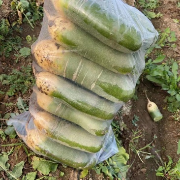 青岛水果萝卜脆甜不辣，市场，电商