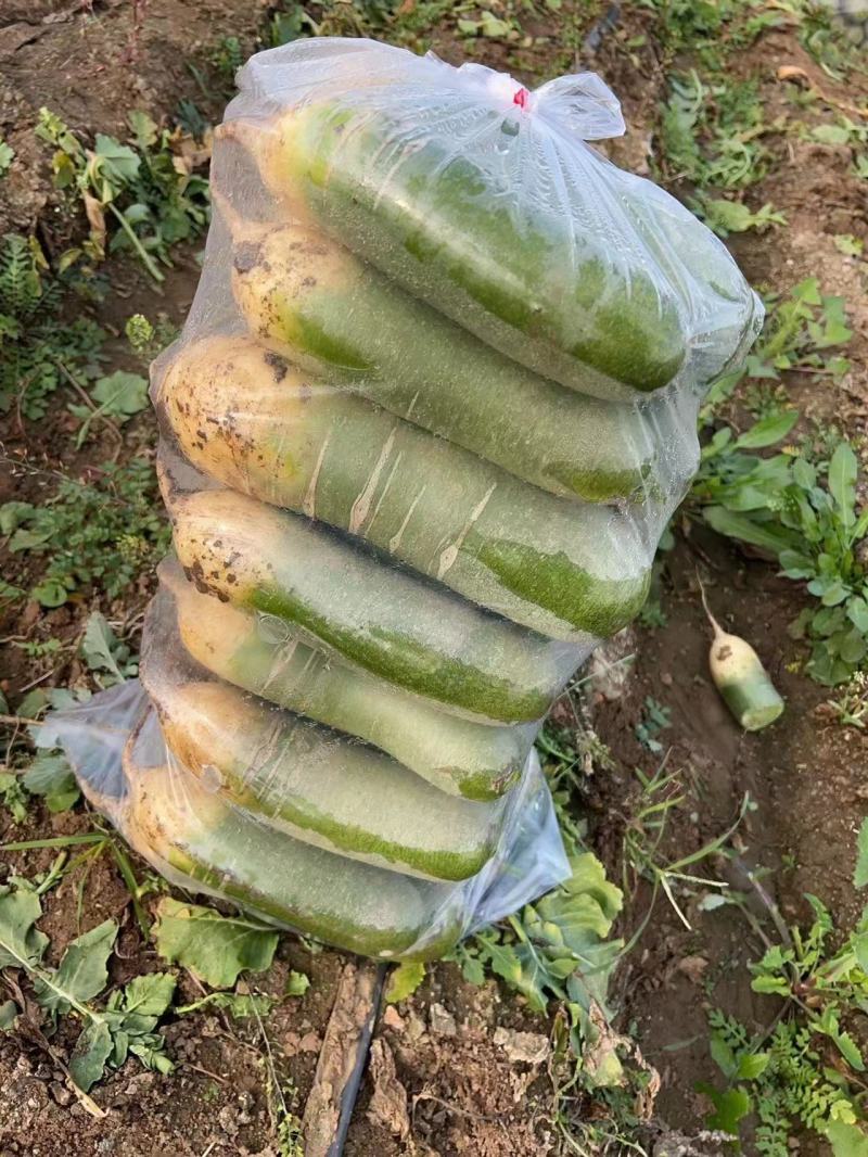 青岛水果萝卜脆甜不辣，市场，电商