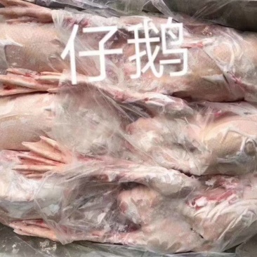 心肝仔鹅，工厂直发