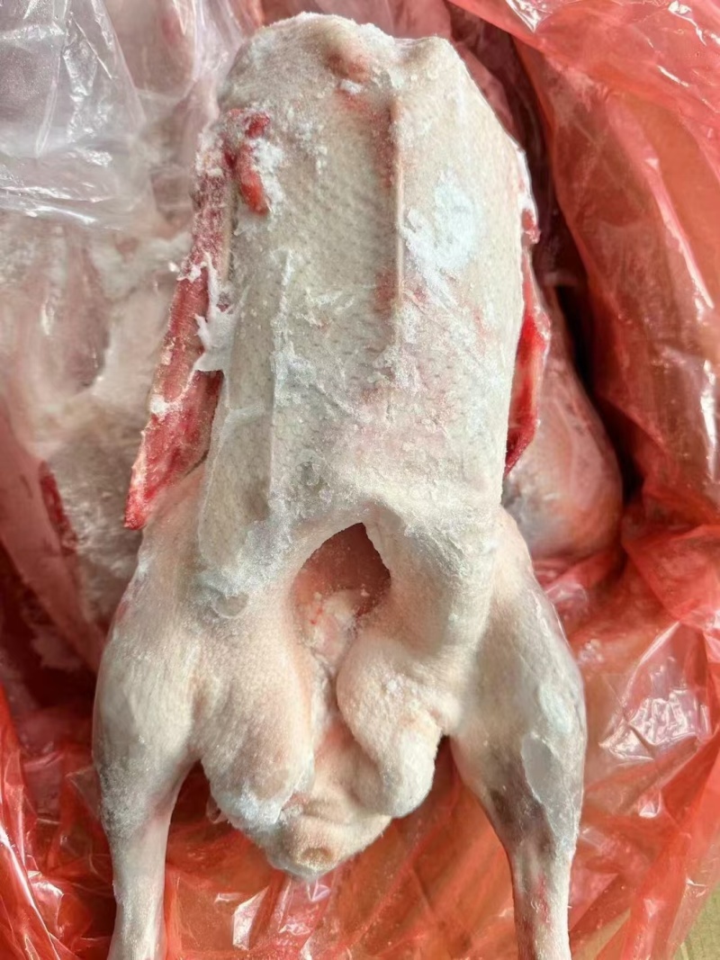 心肝仔鹅，工厂直发