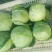 襄城县崔结实代收各种疏菜瓜果，精品甘兰正在大量