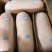 【精品】鲜冻乳猪批发工厂货源供应稳定价格量大优惠