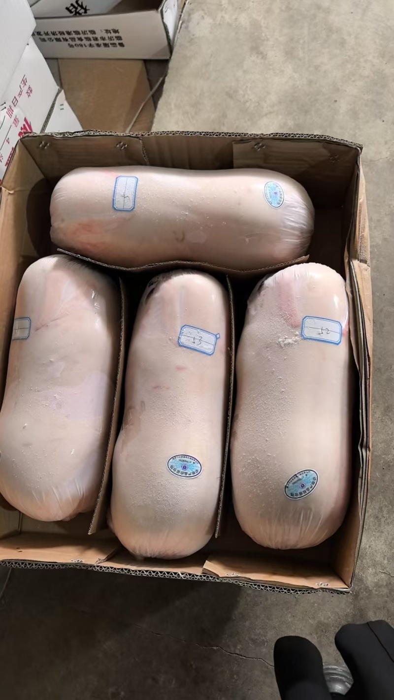 【精品】鲜冻乳猪批发工厂货源供应稳定价格量大优惠