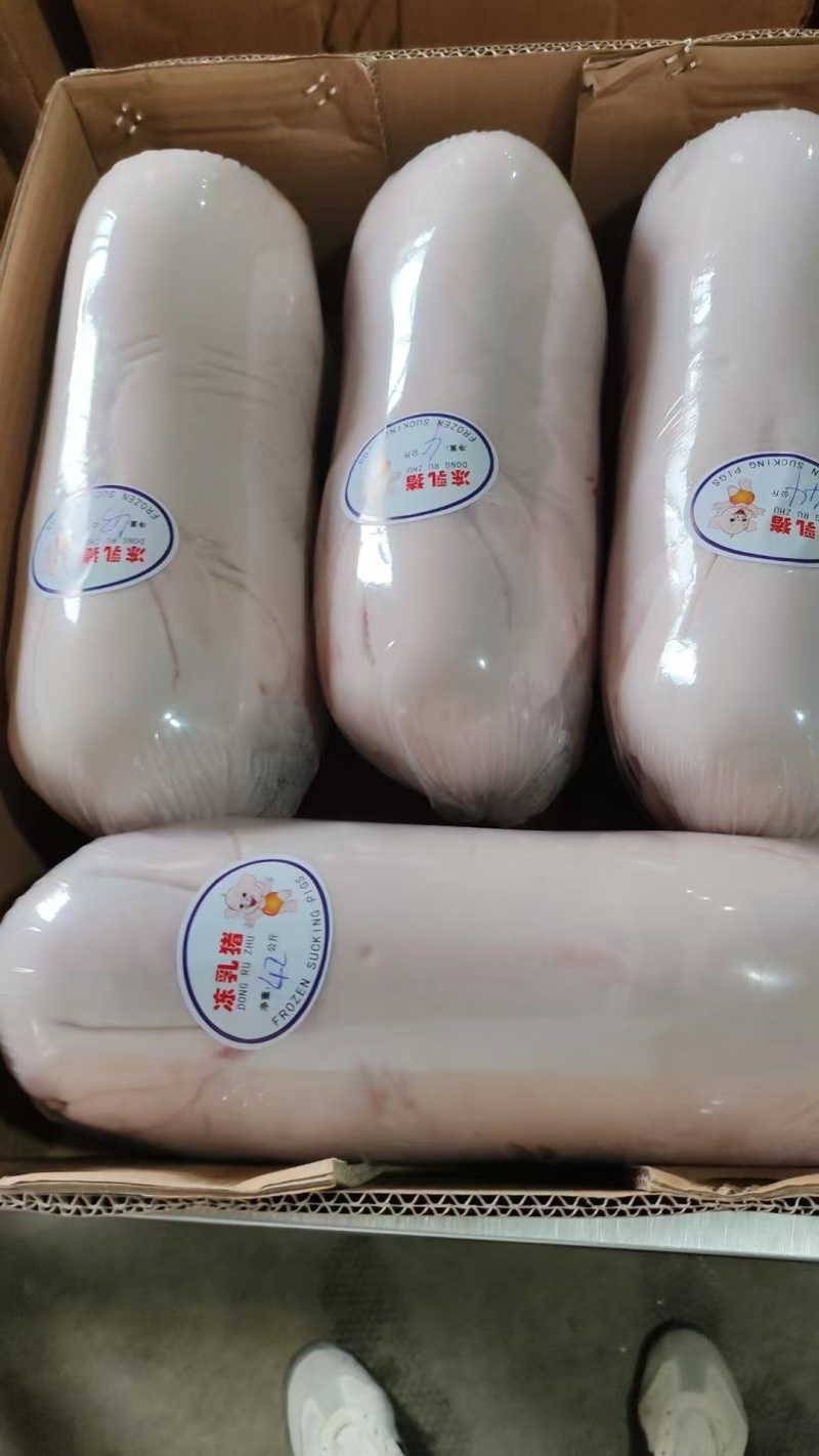 【精品】鲜冻乳猪批发工厂货源供应稳定价格量大优惠
