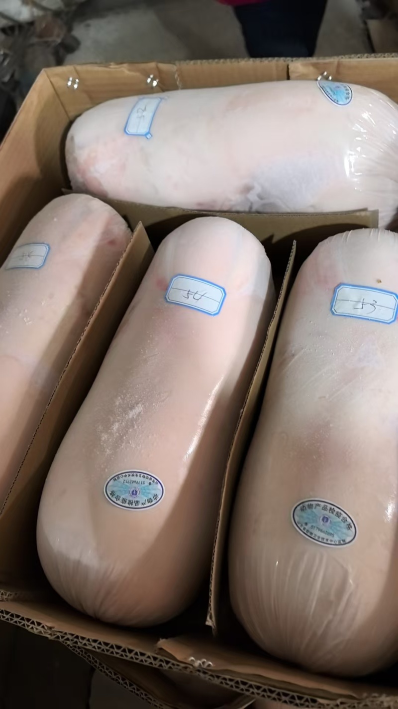 【精品】鲜冻乳猪批发工厂货源供应稳定价格量大优惠