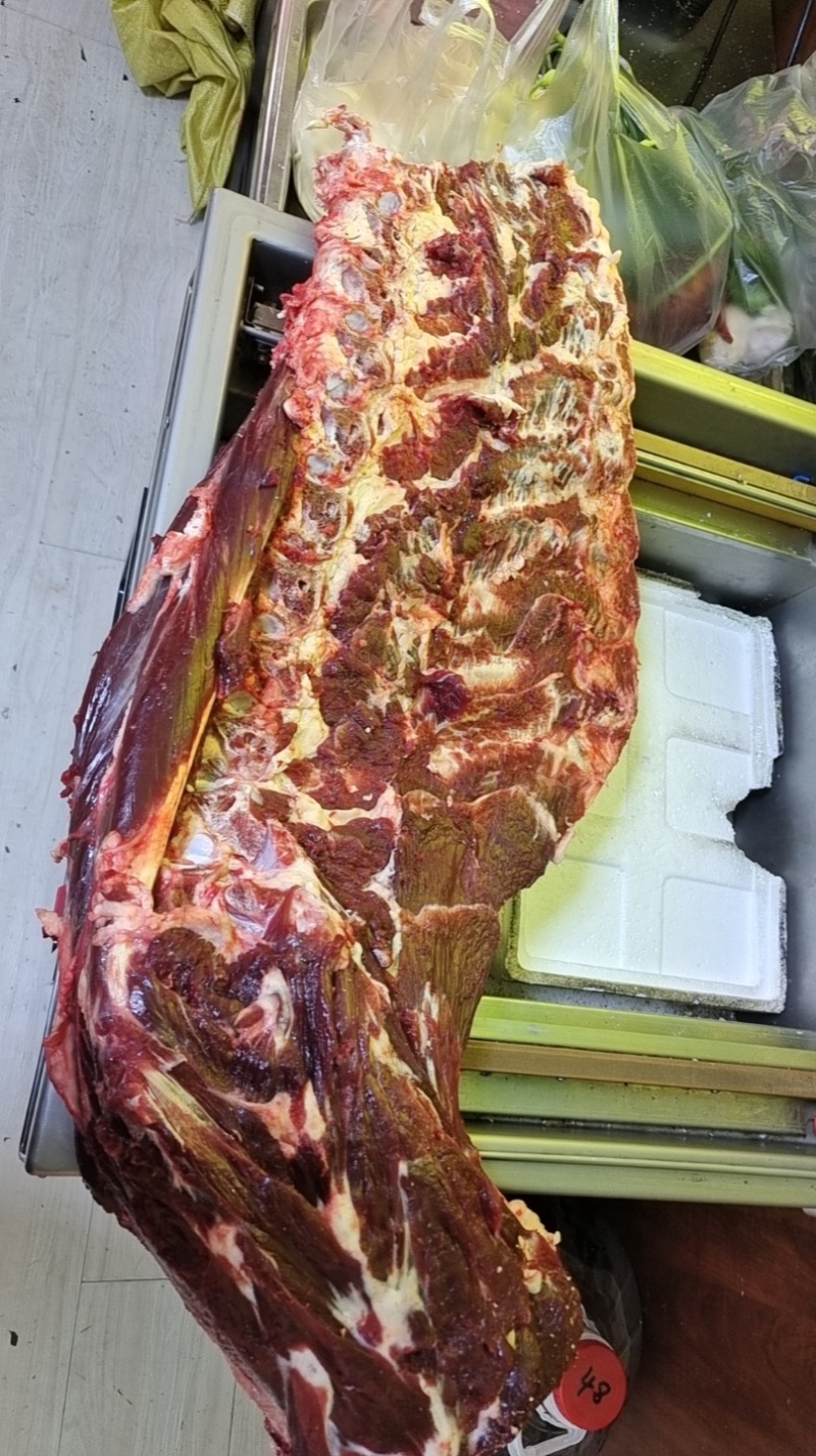 牦牛牛大骨批发屠宰场直销