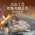 清真火烧羊头屠宰场直销每个规格齐全