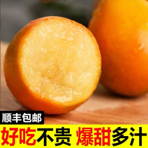 广西脆蜜金桔，三代脆蜜金柑电商一件代发，无痕发货