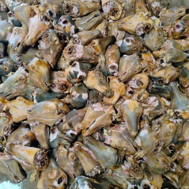清真火烧羊头屠宰场直销每个规格齐全