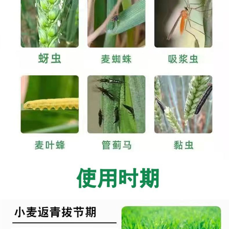 小麦增产套餐增产增收抗害防虫防菌农药肥料组合厂家直销