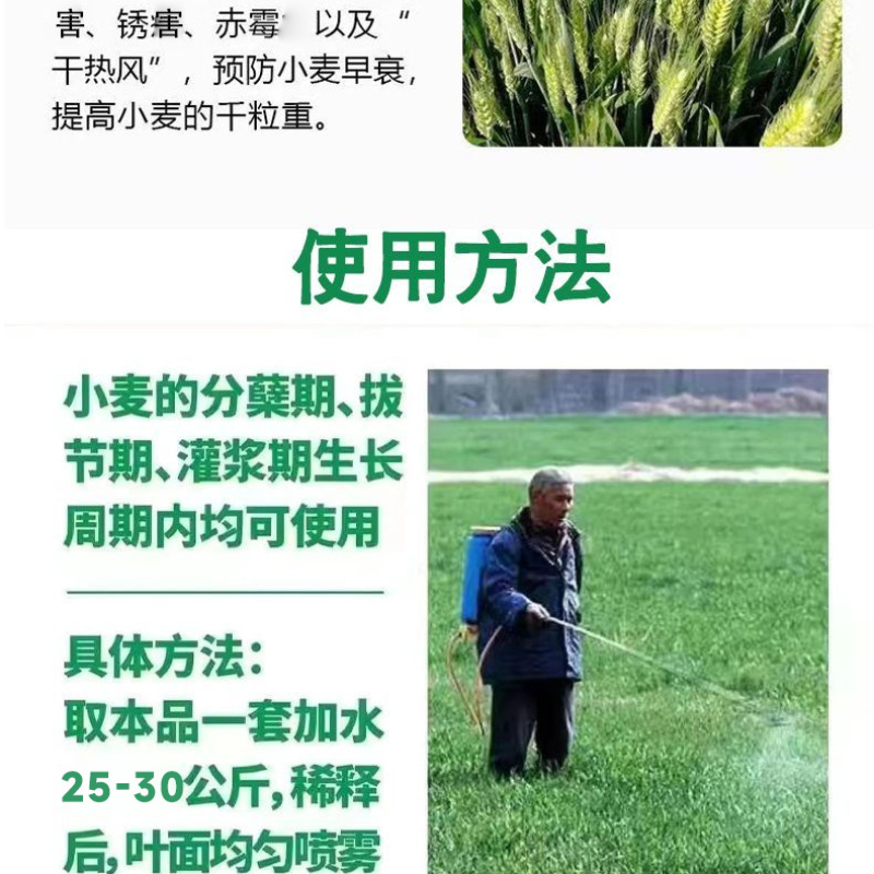 小麦增产套餐增产增收抗害防虫防菌农药肥料组合厂家直销