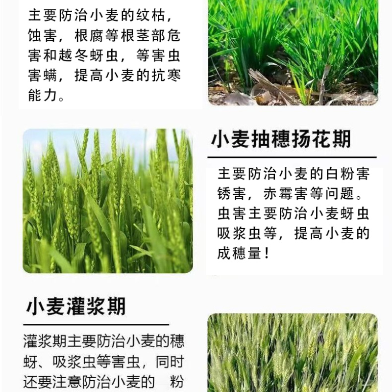 小麦增产套餐增产增收抗害防虫防菌农药肥料组合厂家直销