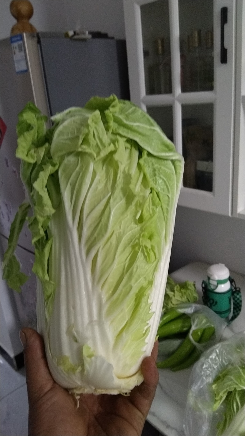 黄心白菜