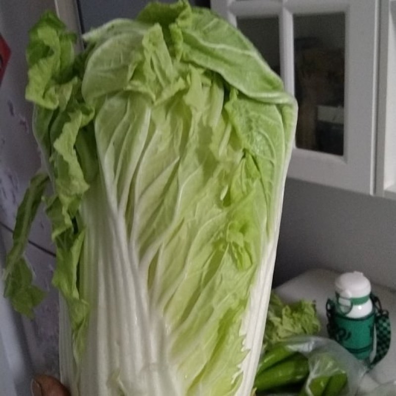 黄心白菜