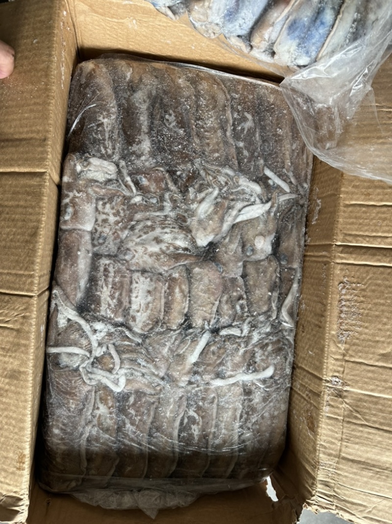 船冻墨鱼纯干水
