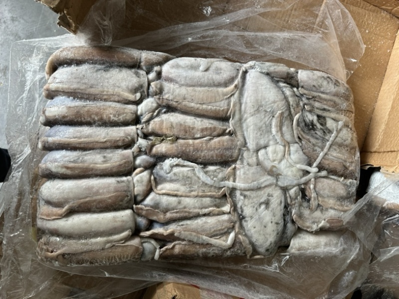 船冻墨鱼纯干水