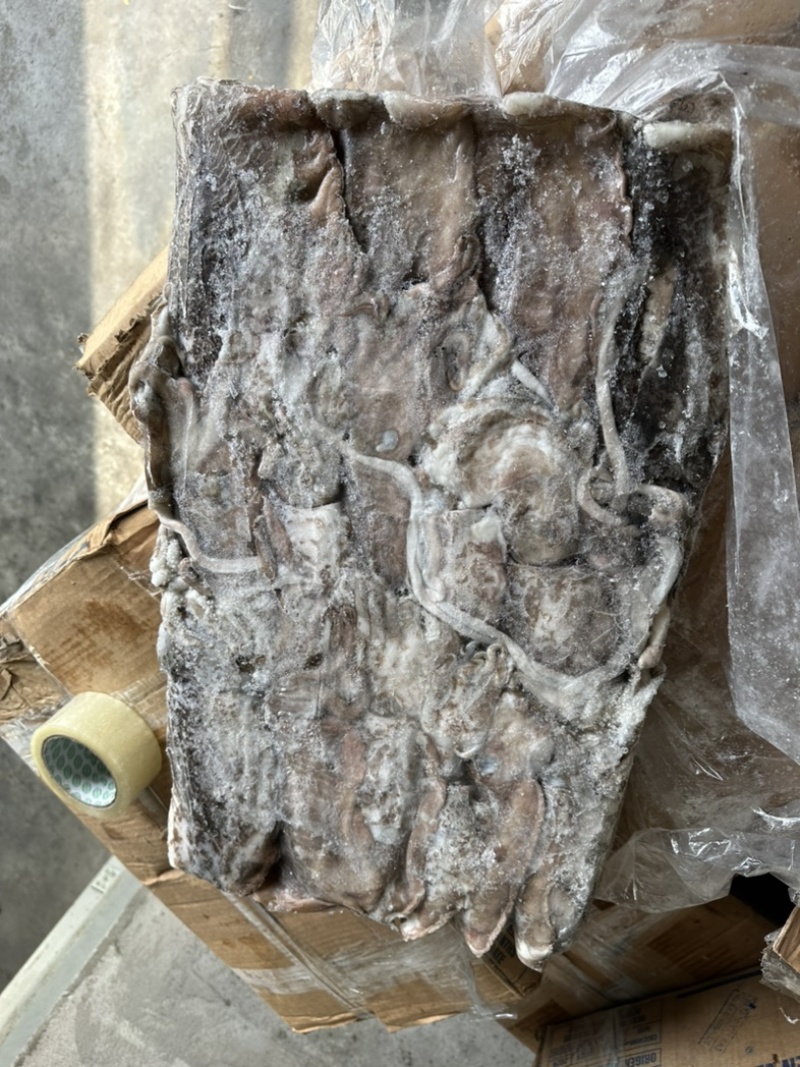 船冻墨鱼纯干水