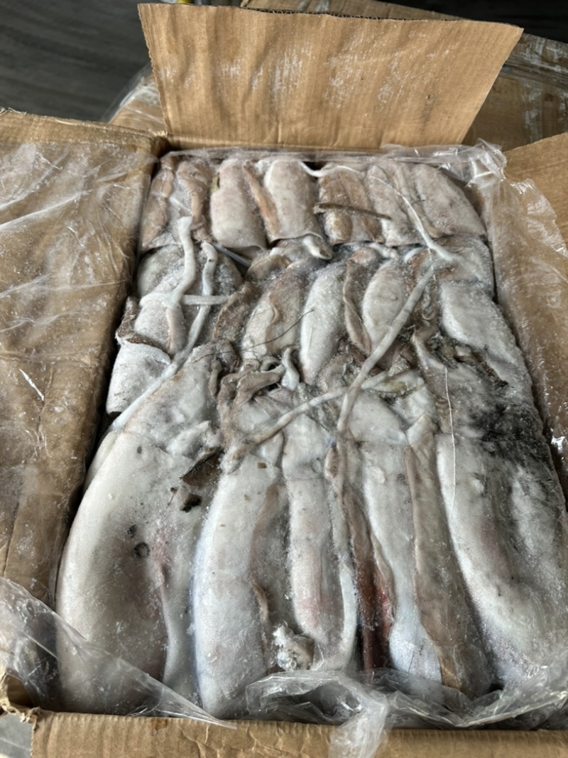 船冻墨鱼纯干水