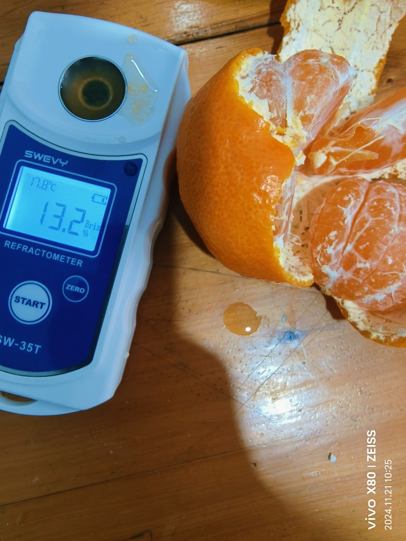 优质九月红果冻橙口感超甜入口即化，产地量大货源充足
