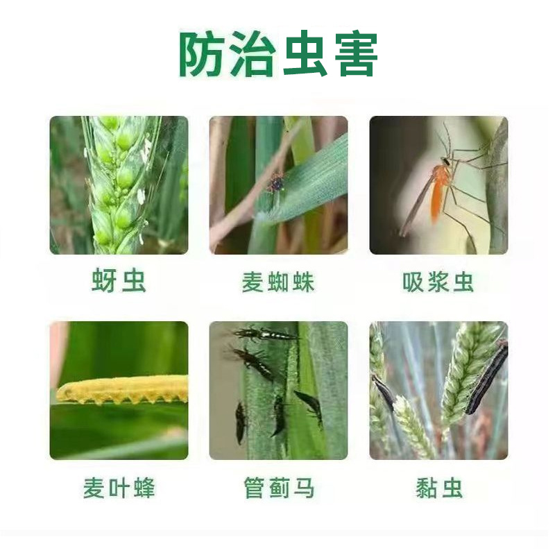 小麦丰收高产组合穗大粒饱大田作物农药肥料套餐一套十亩地