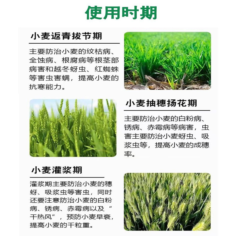 小麦丰收高产组合穗大粒饱大田作物农药肥料套餐一套十亩地