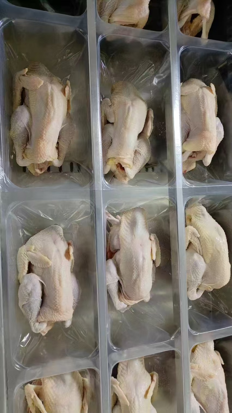 真空包装老母鸡