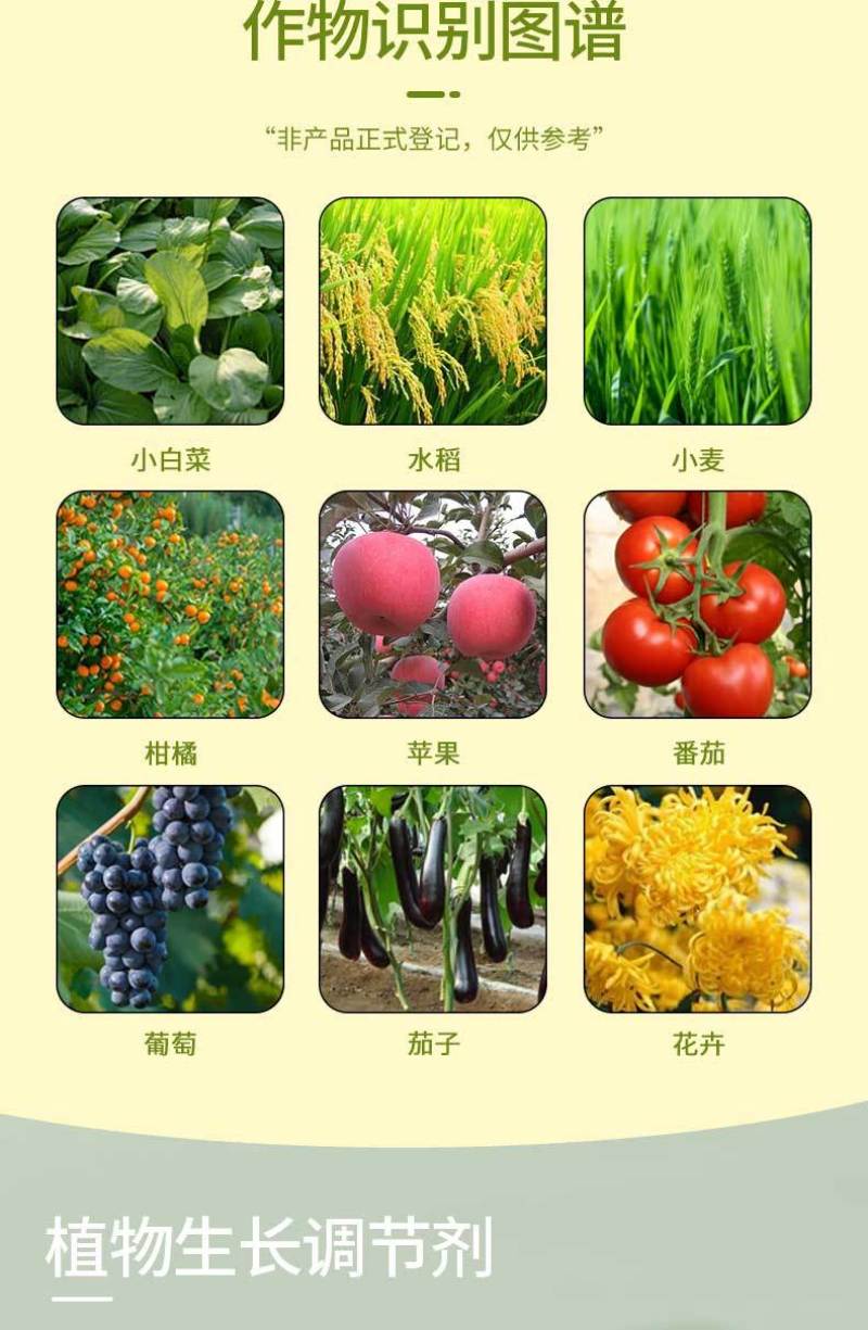14-羟基芸苔素甾醇植物生长调节剂增强光合作用