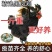 厂家直一斤黑凤青年鸡产蛋王绿壳蛋鸡散养五黑鸡绿蛋活物黑凤