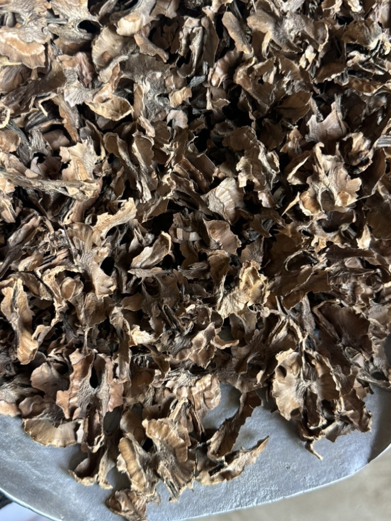 分心木核桃分心木夹心木隔心木分心木实物拍摄