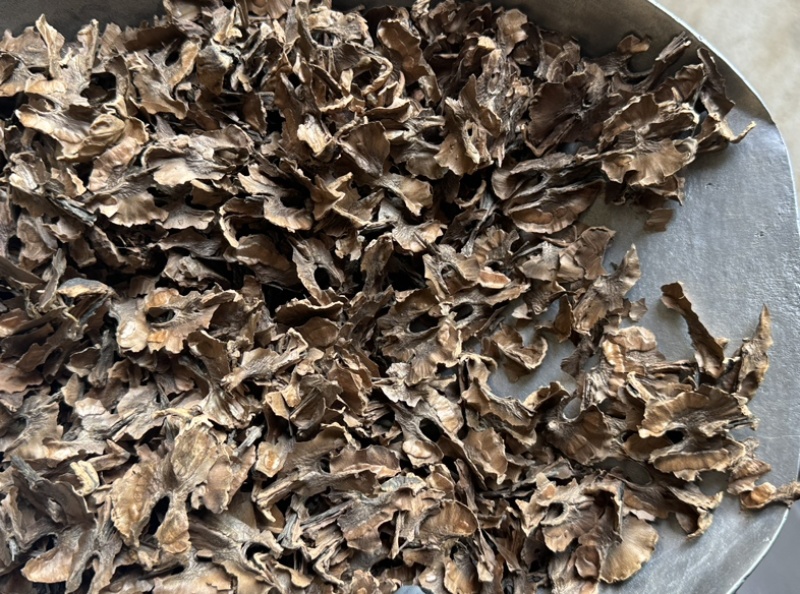 分心木核桃分心木夹心木隔心木分心木实物拍摄