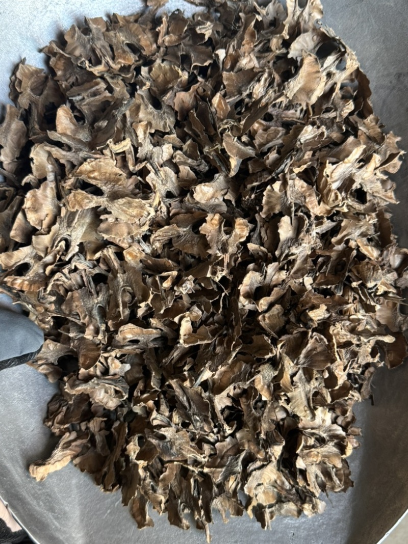 分心木核桃分心木夹心木隔心木分心木实物拍摄
