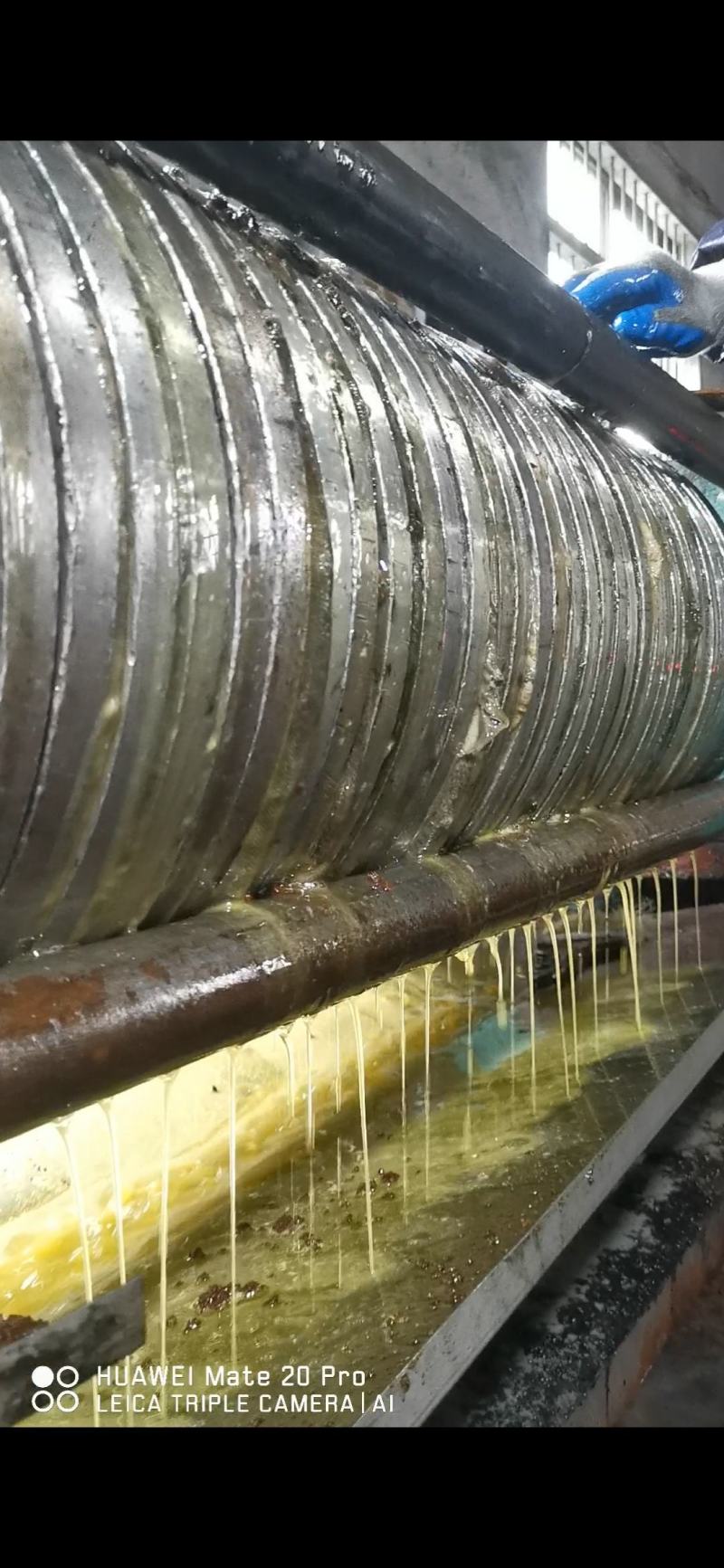 野生茶枯饼茶麸茶枯粉野生小籽山茶油