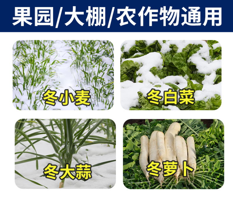 40g袋装植物防冻液微量元素水溶肥料耐寒防冻