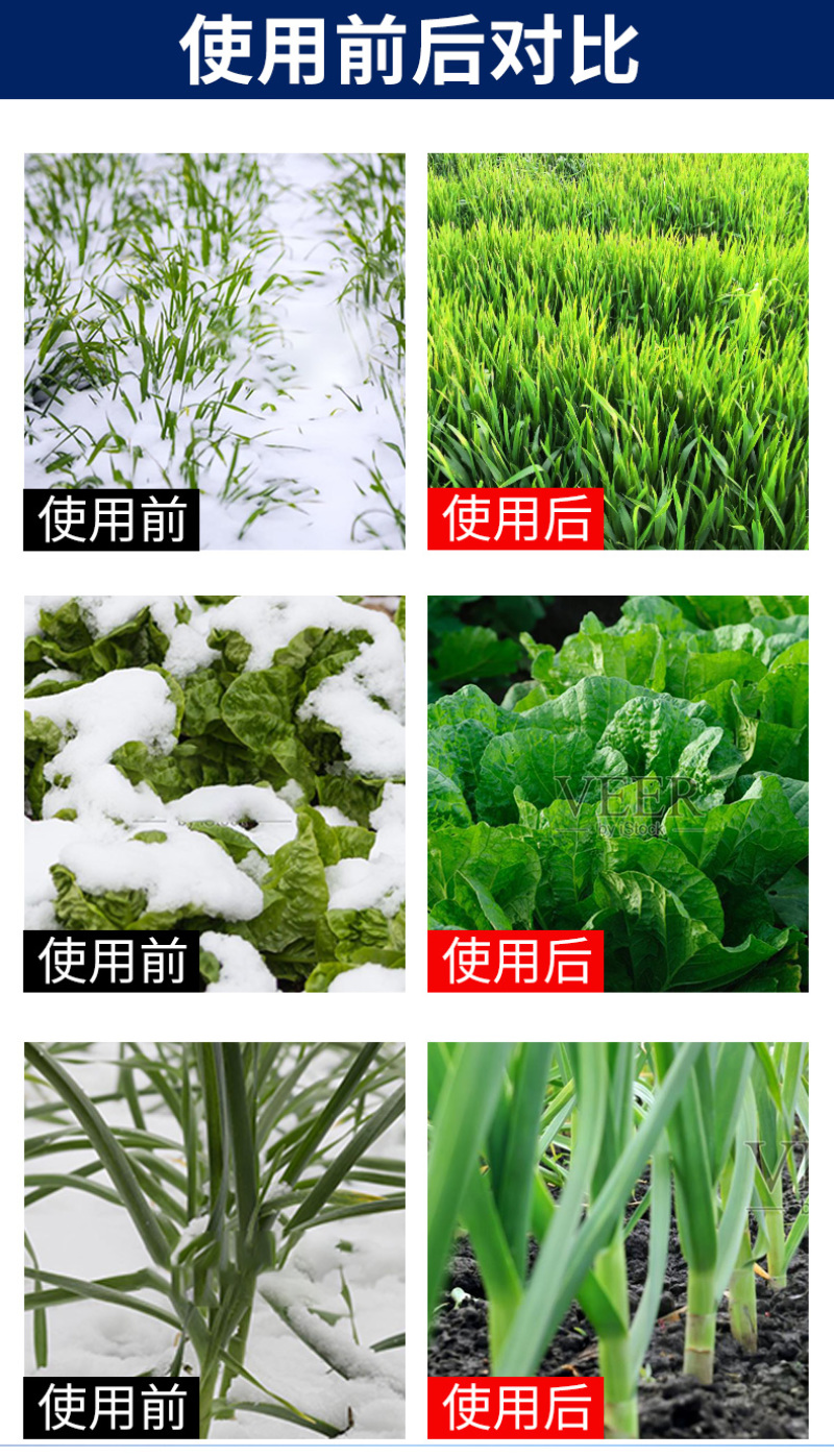 40g袋装植物防冻液微量元素水溶肥料耐寒防冻