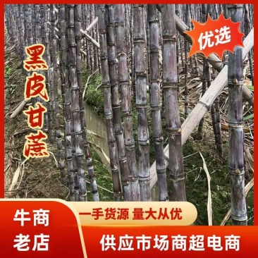 云南黑皮甘蔗大量上市，可大量供应市场，电商商超