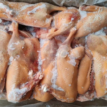 一级黄皮半片鸭10吨，4700一吨