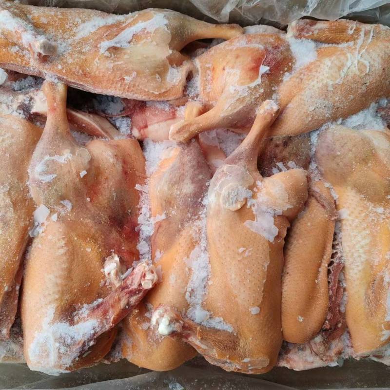 一级黄皮半片鸭10吨，4700一吨