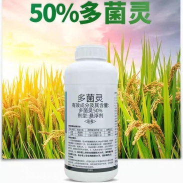 广信50%多菌灵悬浮剂多菌灵水稻稻瘟病小麦赤霉病农药杀菌