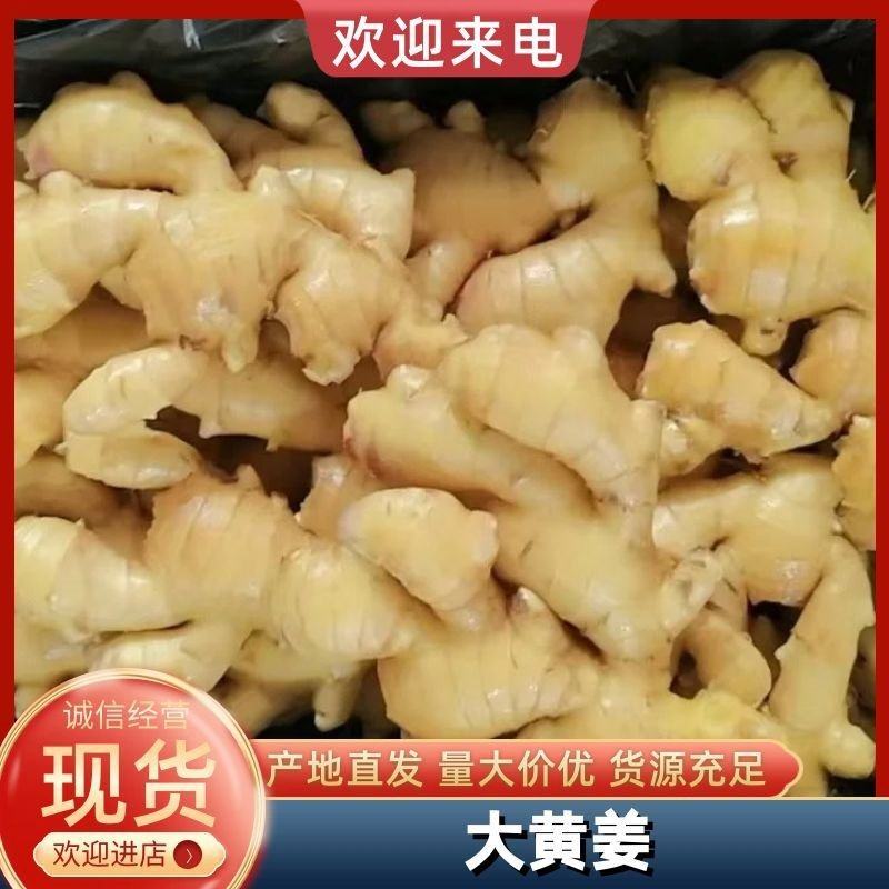 【精选】生姜大黄姜，电商，超市，市场，产地直发，保质保量