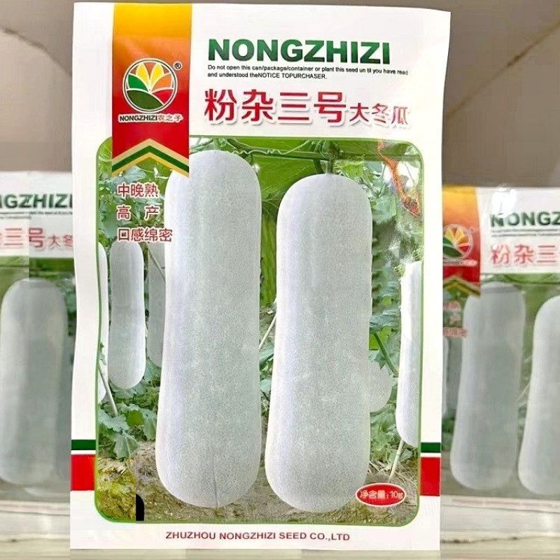农之子粉杂三号冬瓜种子中晚熟大果型青绿皮有果粉肉厚大冬瓜