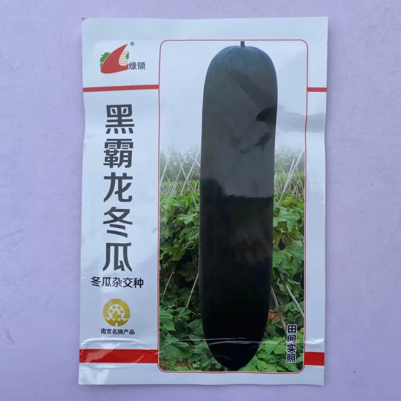冬瓜种子绿领黑金刚冬瓜果炮弹型墨绿色肉质致密高产优质冬瓜