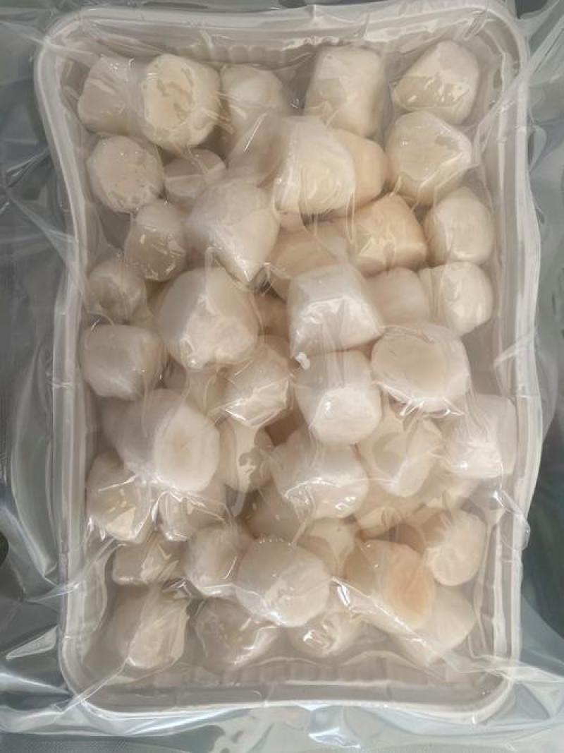 单冻原浆扇贝丁，产地一手发货，质量保证，规格齐全。