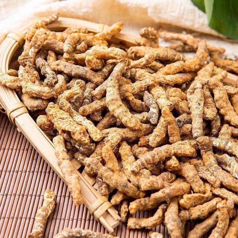 炒僵蚕货好量大断面玻璃茬不满意可以退换货