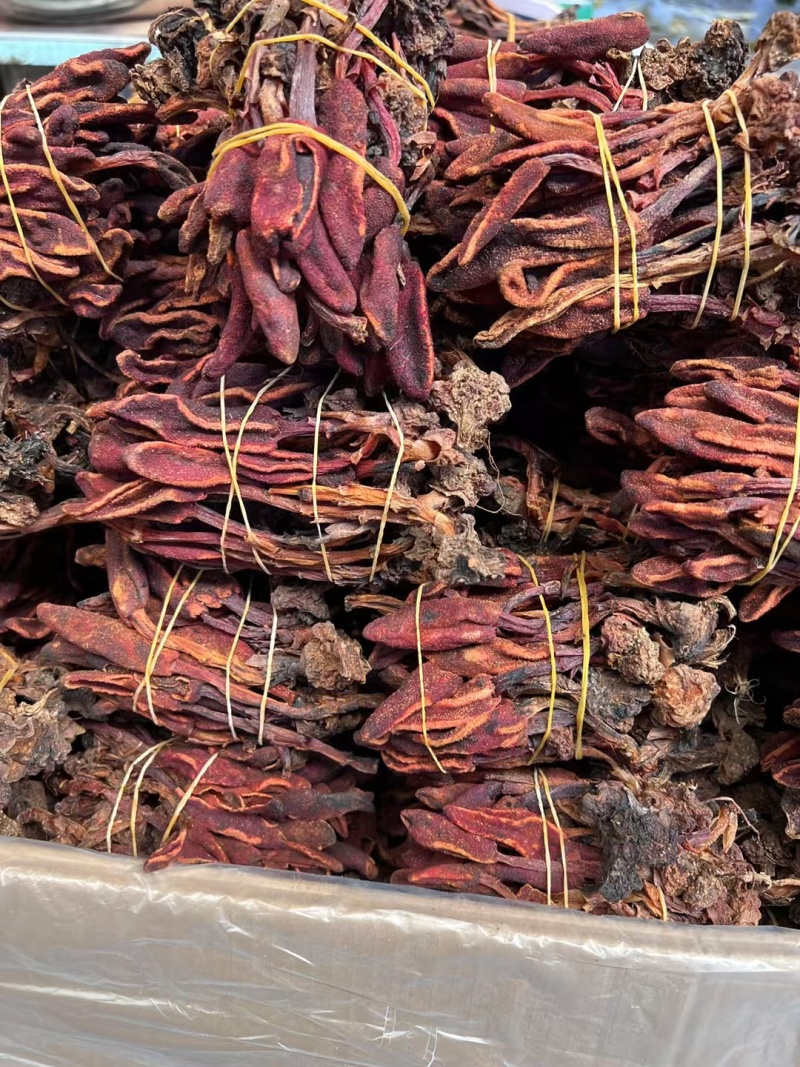 回春草药材批发500克鹿仙草