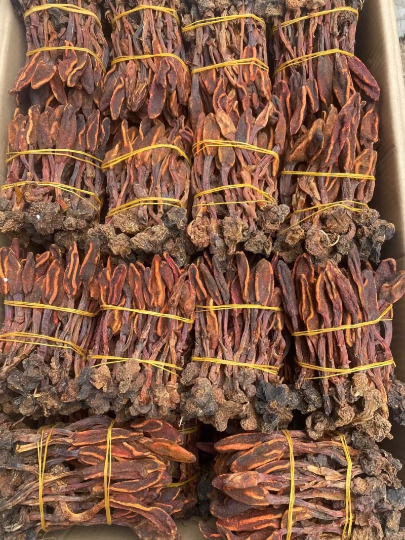 回春草药材批发500克鹿仙草